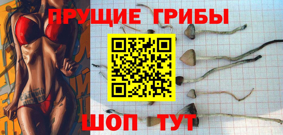 Нерюнгри  Галлюциногенные грибы Cubensis  купить  сайты  Вход с VPN  Псилоцибиновые грибы Magic Shrooms 