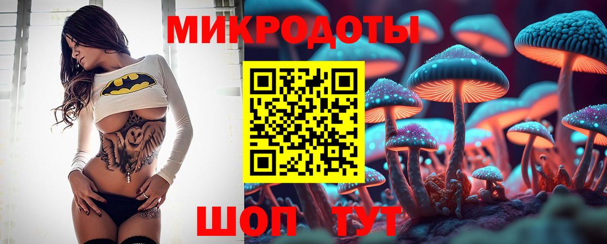 Псилоцибиновые грибы GOLDEN TEACHER Нерюнгри